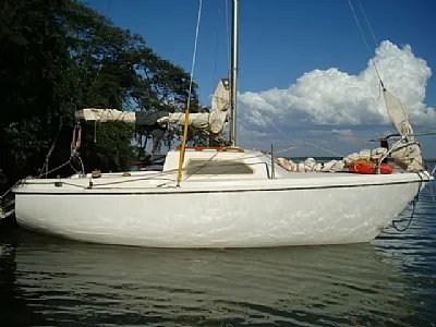 Clique para visualizar 12-2025119-3255.webp