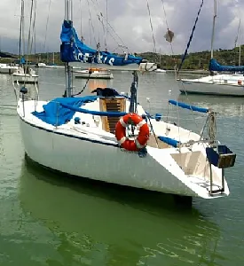 Clique para visualizar 13-2025119-6023.webp