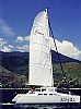 dolphin-29.jpg