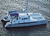 dolphin-430.jpg