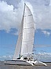 dolphin-600.jpg