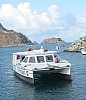 dolphin-turimcat345.jpg