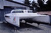 dolphin-turimcat430.jpg