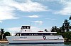 dolphin-turimcat550.jpg