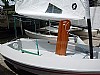 173-dingue-1.jpg