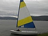173-dingue-3.jpg