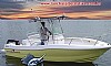 PhoenixVip-marlin19.jpg