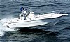 PhoenixVip-marlin22.jpg