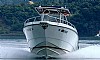 PhoenixVip-marlinstampa35.jpg