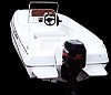 RealPower-190profish.jpg