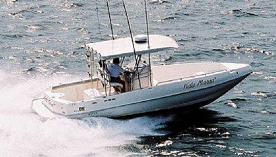 Lancha REAL 250 PRO FISH - Real Power Boats Ficha técnica fotos video