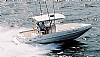 227-250-pro-fish-3.jpg