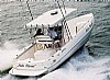 RealPower-250profish.jpg