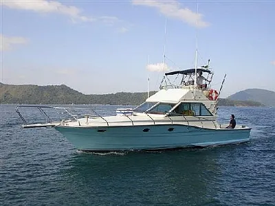 Clique para visualizar 273-2025119-6251.webp