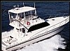 carbrasmar-45.jpg