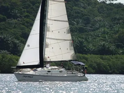 Clique para visualizar 31-2025119-4562.webp