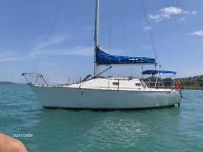 Clique para visualizar 31-2025119-8833.webp