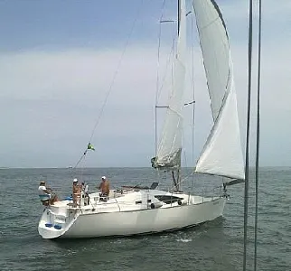 Clique para visualizar 313-2025119-2121.webp