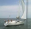 313-mj38-5.jpg