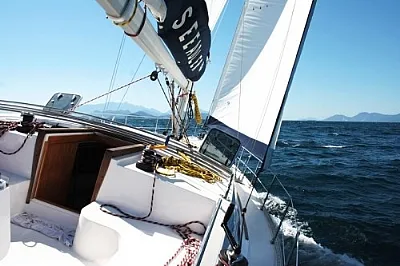 Clique para visualizar 314-2025119-7669.webp