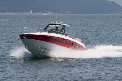 Clique para visualizar 319-2025119-7927.webp