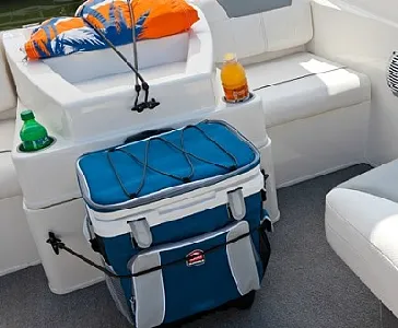 Clique para visualizar 333-2025119-5459.webp