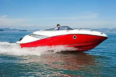 Clique para visualizar 339-2025119-7146.webp