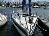 35-fast303-1.jpg