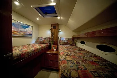 Clique para visualizar 357-2025119-374.webp