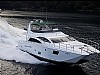 358-cat72MY1.jpg