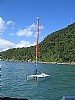 368-smartcat-2.jpg