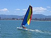 368-smartcat-3.jpg