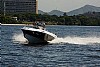 387-topfish19-2.jpg