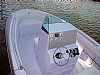 388-topfish21-3.jpg