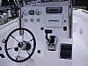961-topfish21-4.jpg