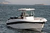 389-topfish27-2.jpg