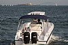 389-topfish27-3.jpg