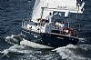 489-delphia46-4.jpg