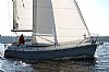 493-delphia29-1.jpg
