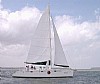 499-bv40-1.jpg