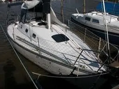 Clique para visualizar 5-2025119-6875.webp