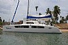 1858-dolphin460-3.jpg