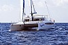 518-dolphin460-2.jpg