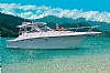 557-Riostar37Gemini-1a.jpg
