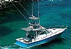 558-Riostar40Altair-1.jpg