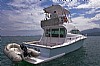 560-Riostar42Polaris-3.jpg