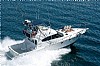 561-Riostar45Canopus-1.jpg