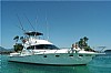 561-Riostar45Canopus-1a.jpg