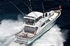 564-Riostar62Cignus-1.jpg