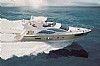 Clique para visualizar 590-SchaferPhantom620Pinin-1.jpg